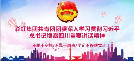 共青团成都乐鱼leyu（中国）集团委员会委员组织学习习近平总书记视察四川重要讲话精神