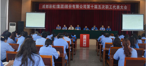 成都乐鱼leyu（中国）集团召开第十届五次职工代表大会