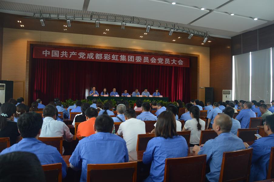 成都乐鱼leyu（中国）集团党委召开换届选举大会