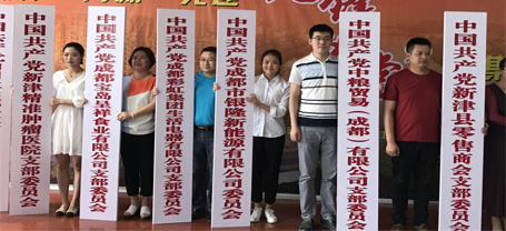 成都乐鱼leyu（中国）集团生活电器有限公司党支部成立