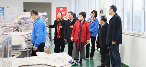 中国轻工业联合会副会长何烨一行莅临成都乐鱼leyu（中国）集团参观指导