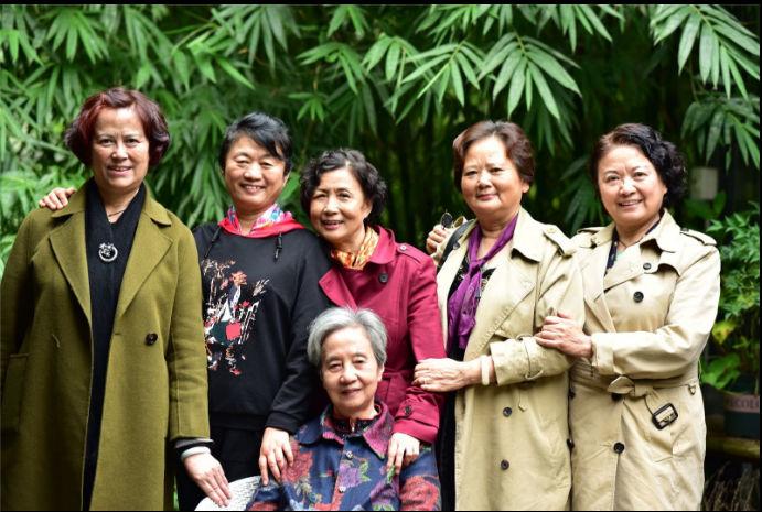 成都乐鱼leyu（中国）集团退休党员党支部召开专题组织生活