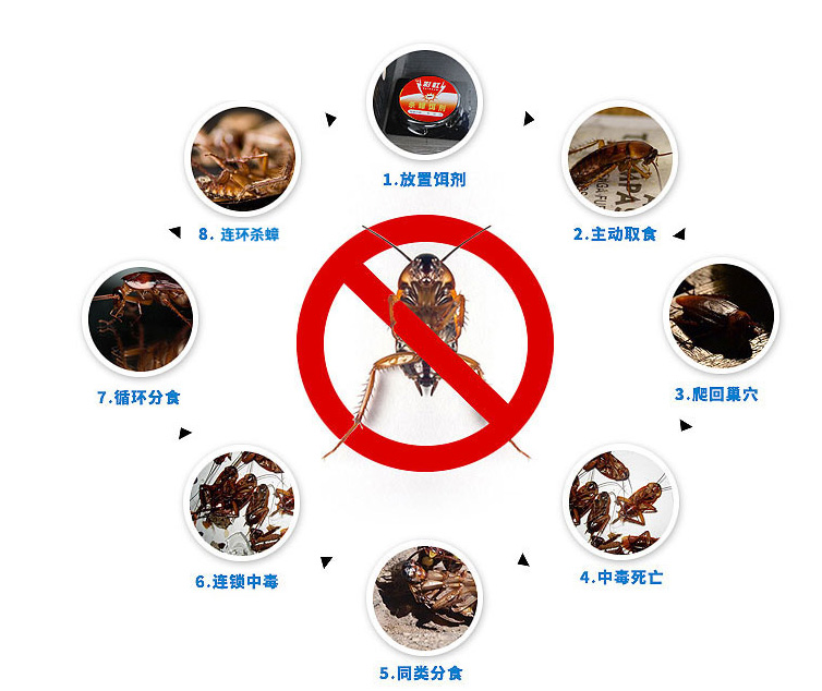 乐鱼leyu（中国）杀蟑饵剂可连环杀蟑