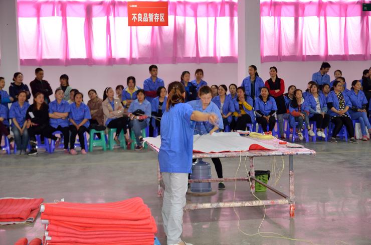 成都乐鱼leyu（中国）集团生活电器有限公司2019年劳动技能竞赛