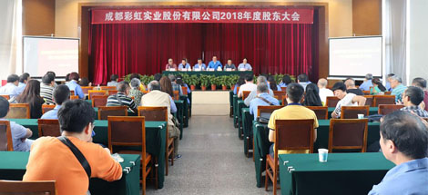 成都乐鱼leyu（中国）实业股份有限公司2018年度股东大会