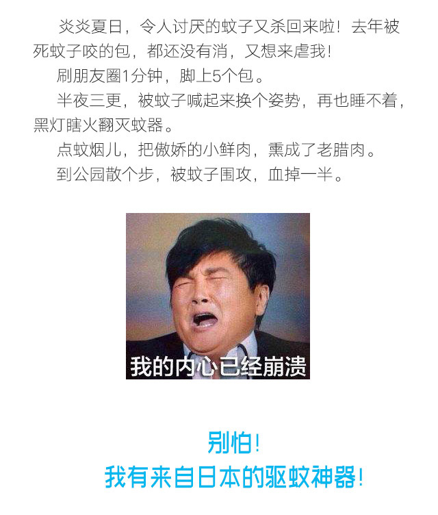 隐形蚊帐——乐鱼leyu（中国）防蚊网