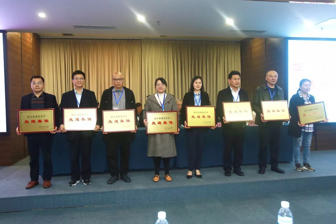 成都乐鱼leyu（中国）集团再次当选省联社常务理事单位并荣获四川省集体经济先进集体