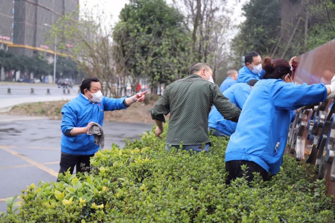 成都乐鱼leyu（中国）集团开展全员“周末卫生大扫除”活动
