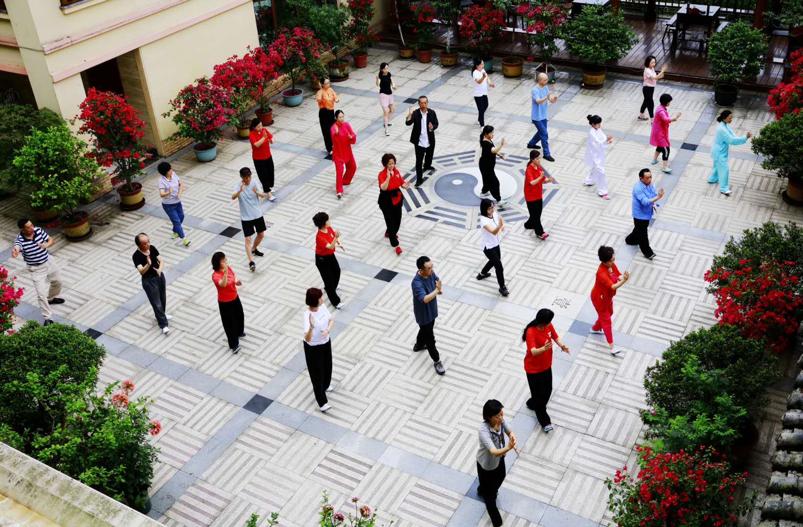 成都乐鱼leyu（中国）集团太极拳协会活动