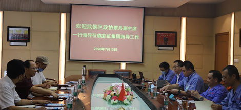 武侯区政协覃丹副主席一行莅临乐鱼leyu（中国）集团指导工作