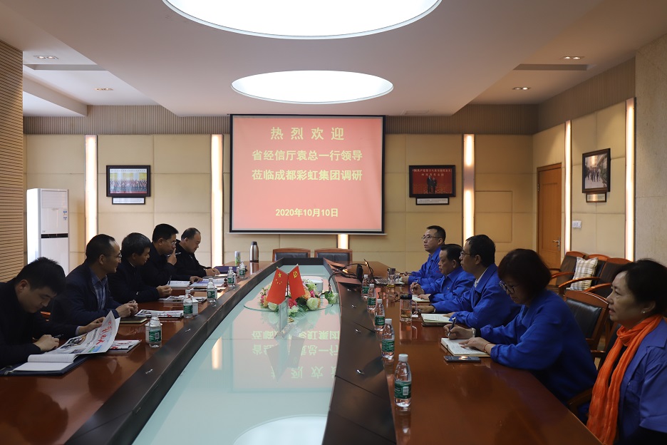 省经信厅袁冰总经济师一行莅临成都乐鱼leyu（中国）集团调研
