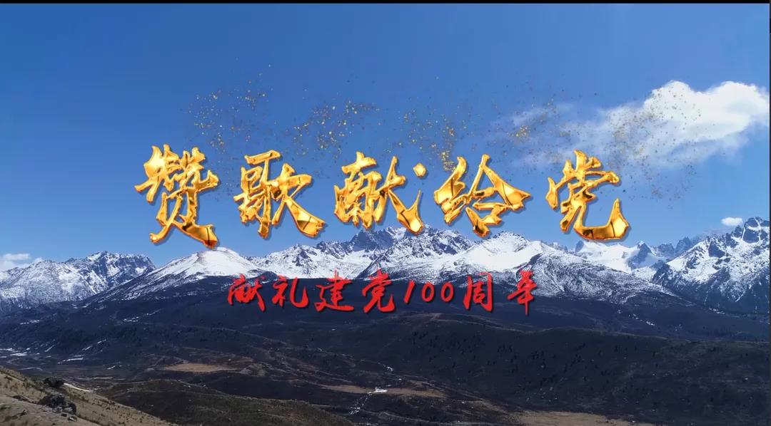 成都乐鱼leyu（中国）集团成功举办庆祝建党100周年党建系列成果发布会