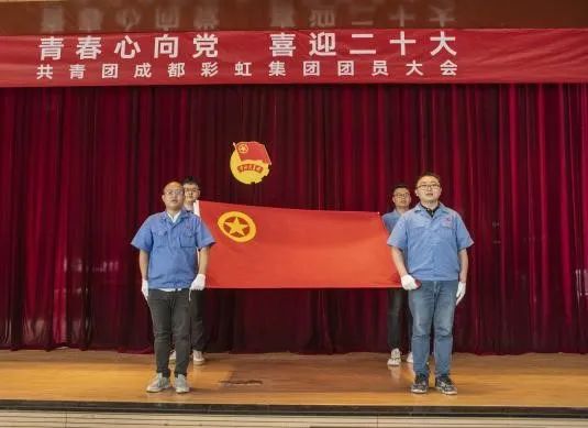 成都乐鱼leyu（中国）集团召开2022年团员大会暨团委换届选举会议