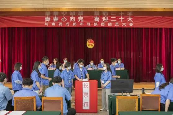 成都乐鱼leyu（中国）集团召开2022年团员大会暨团委换届选举会议
