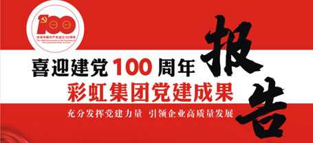 乐鱼leyu（中国）集团党建成果报告